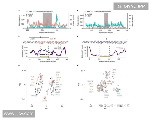 南京滑板队实力分析与表现评估：数据揭示团队潜力与发展方向