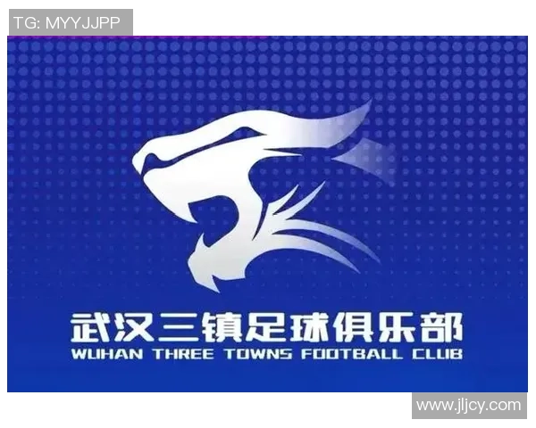 武汉足球队球员个人能力排名前十引发热议实力超群不容小觑