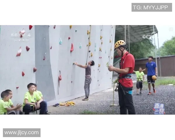 武汉攀岩队的防反策略揭秘：深度解析攀岩技术与团队协作之道